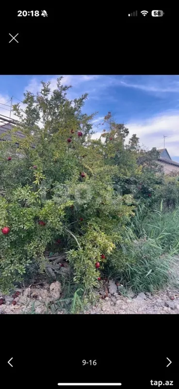 Satılır 3 otaqlı həyət evi