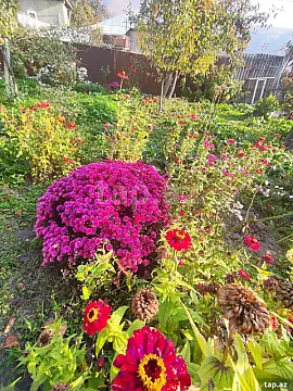 Satılır 5 otaqlı həyət evi