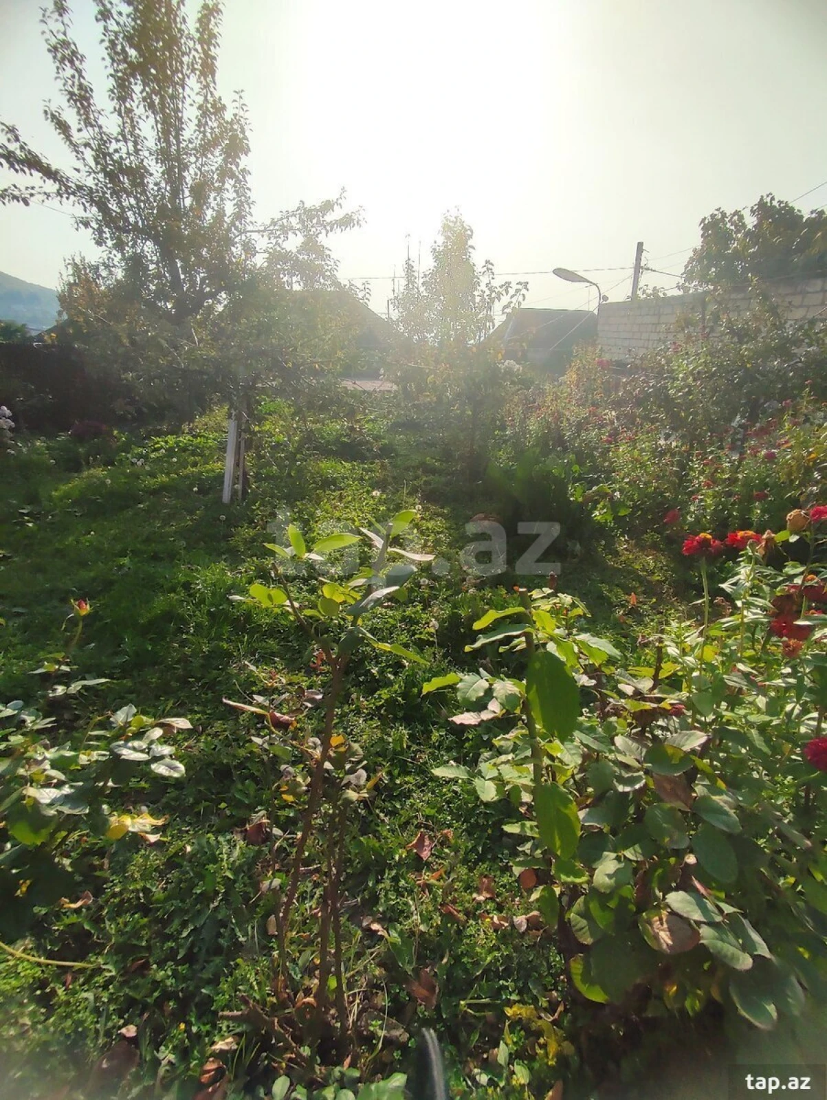 Satılır 5 otaqlı həyət evi