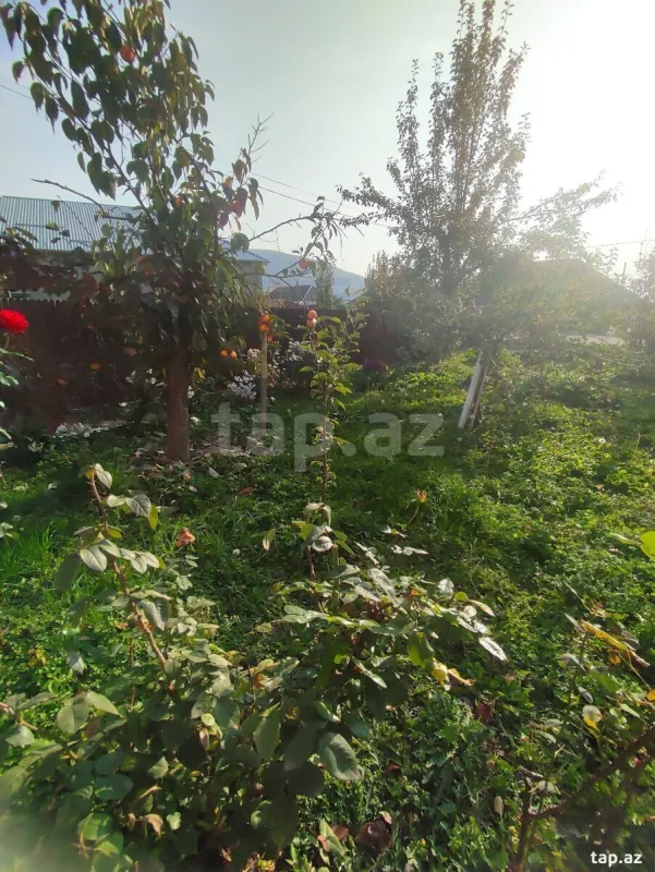 Satılır 5 otaqlı həyət evi