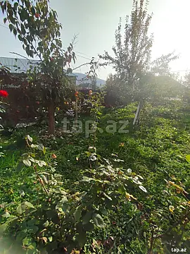 Satılır 5 otaqlı həyət evi