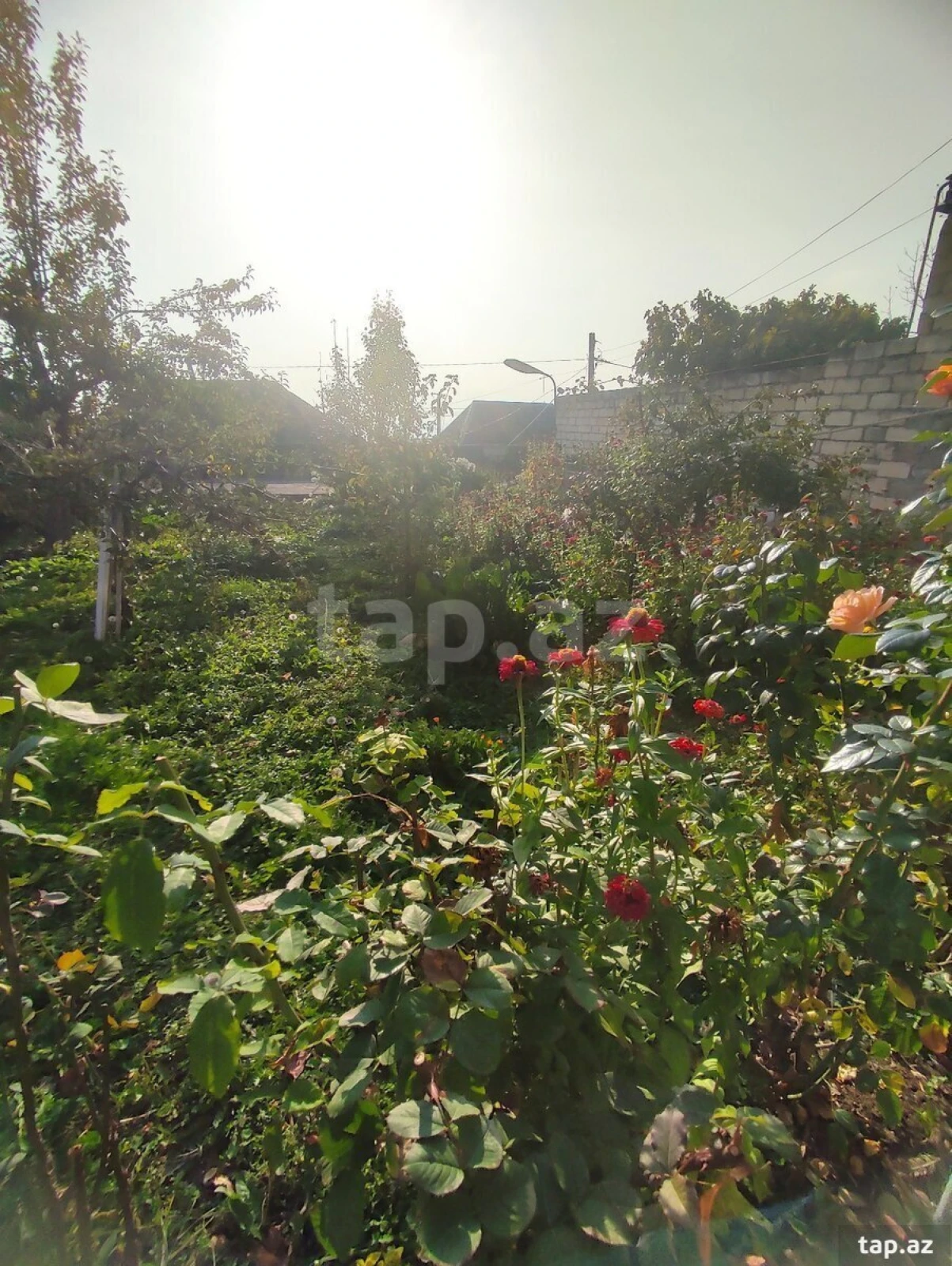 Satılır 5 otaqlı həyət evi