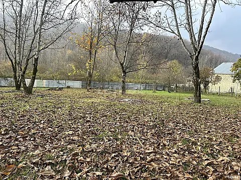 Satılır torpaq sahəsi — Qəbələ