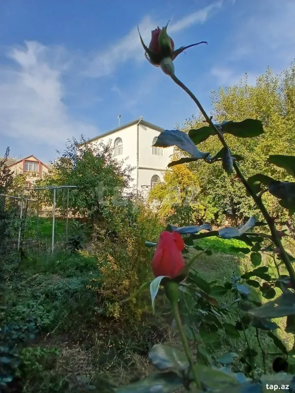 Satılır 6 otaqlı həyət evi
