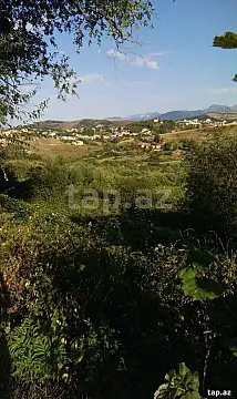 Satılır torpaq sahəsi — Şamaxı