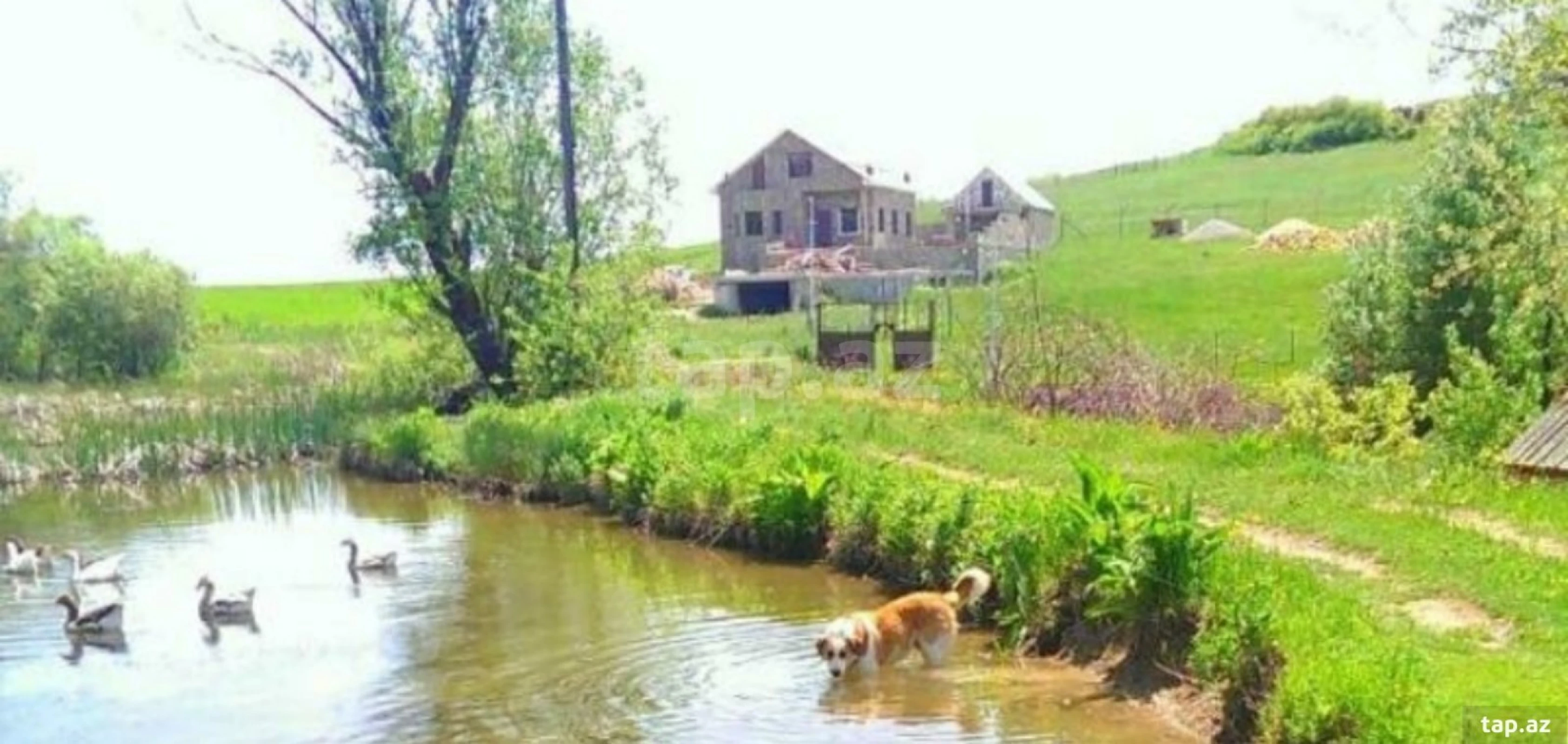 Satılır torpaq sahəsi