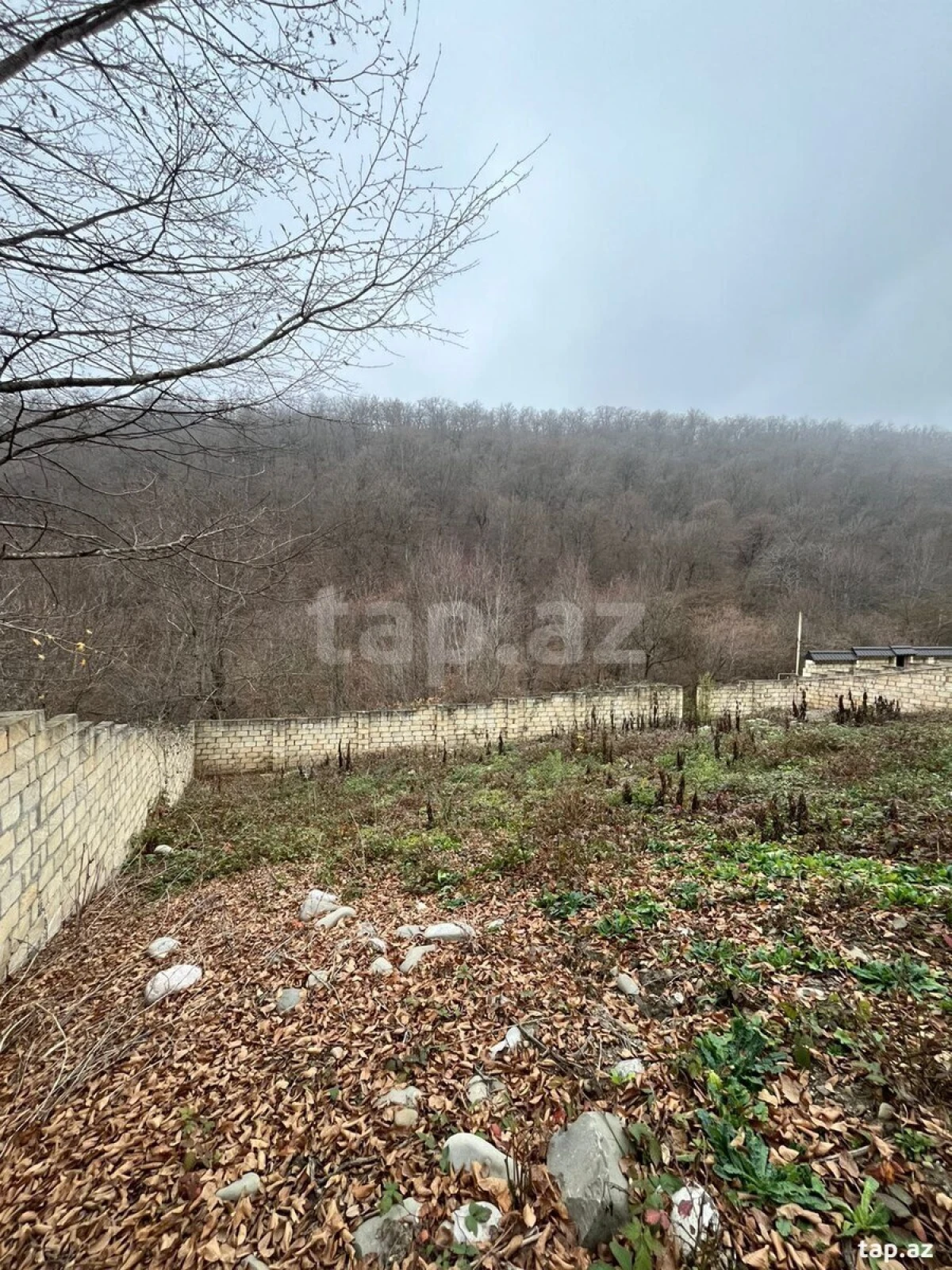 Satılır 3 otaqlı həyət evi