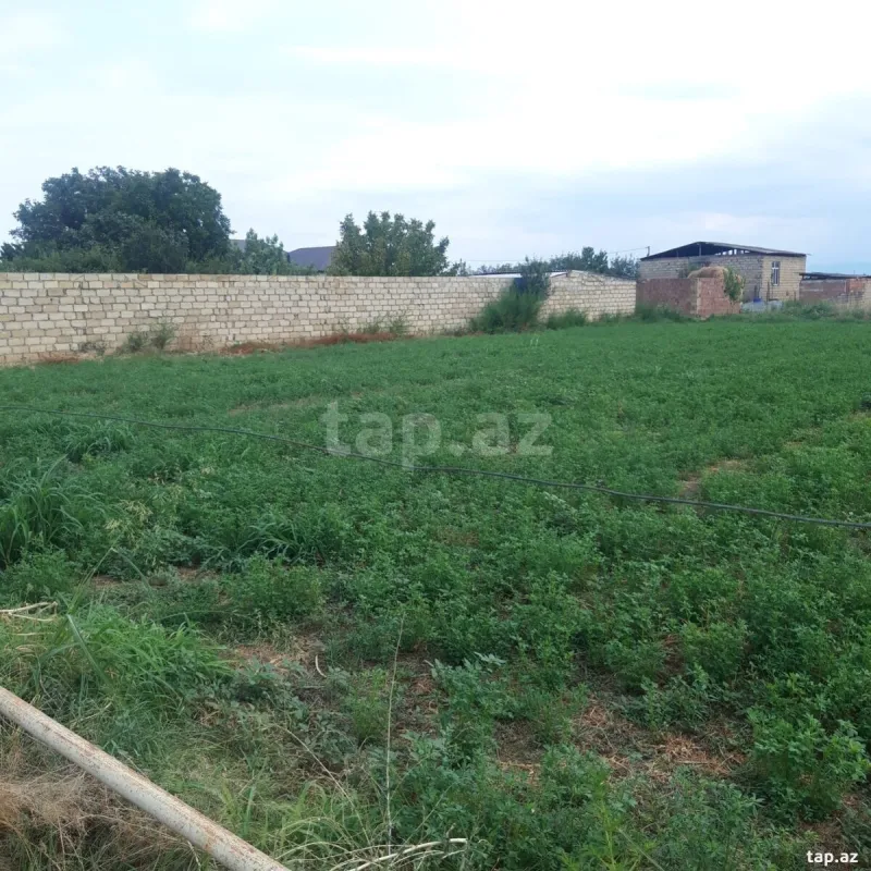 Satılır torpaq sahəsi