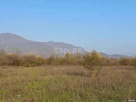 Satılır torpaq sahəsi — Qəbələ