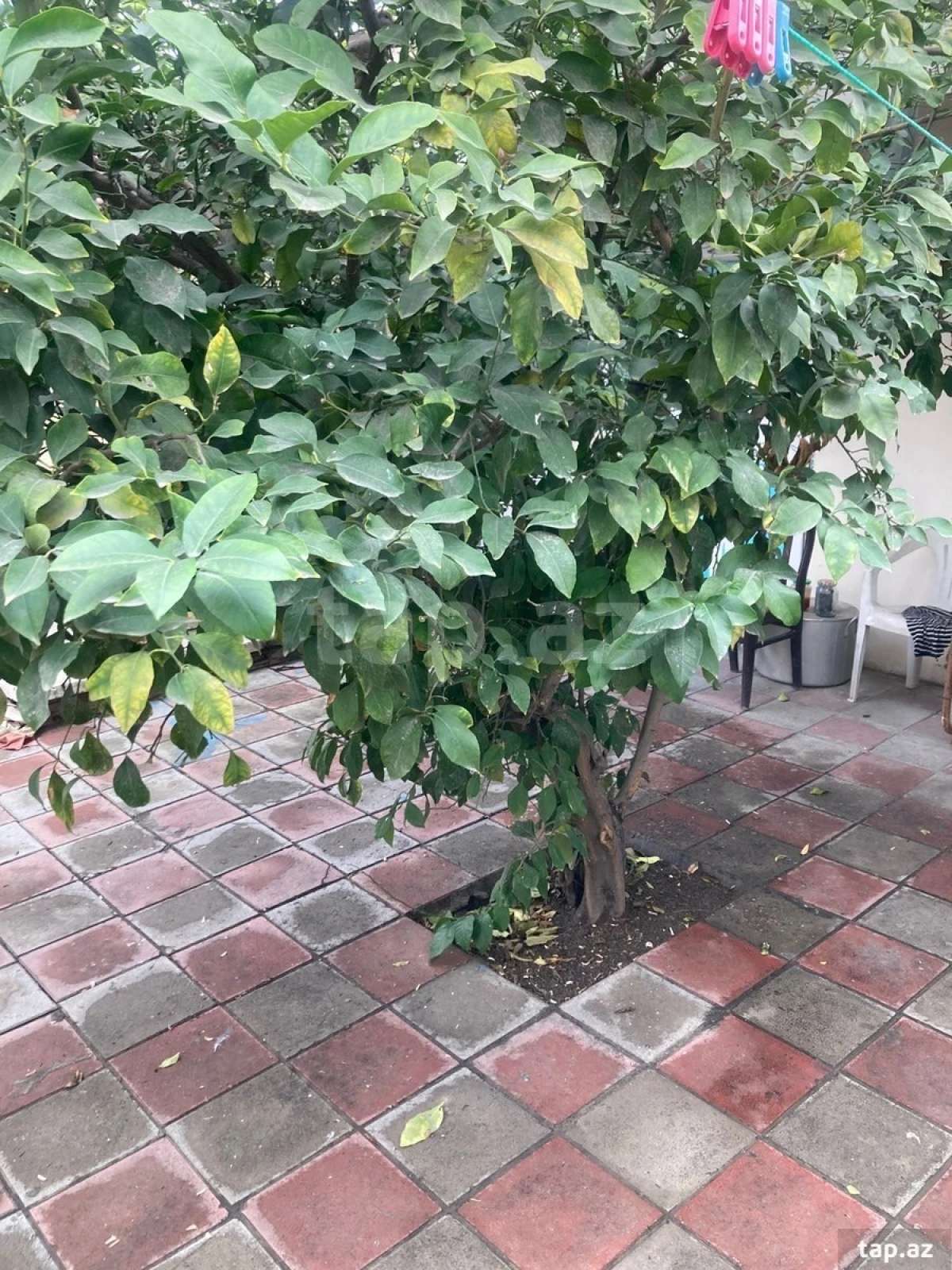 Satılır 2 otaqlı həyət evi