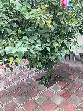 Satılır 2 otaqlı həyət evi