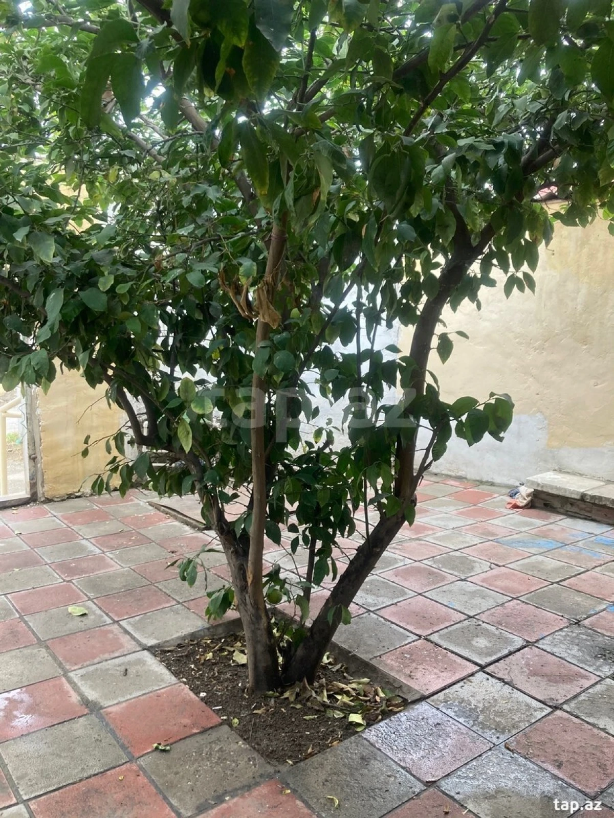 Satılır 2 otaqlı həyət evi