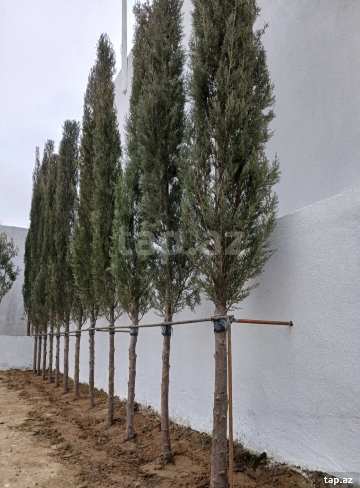 Satılır 2 otaqlı həyət evi