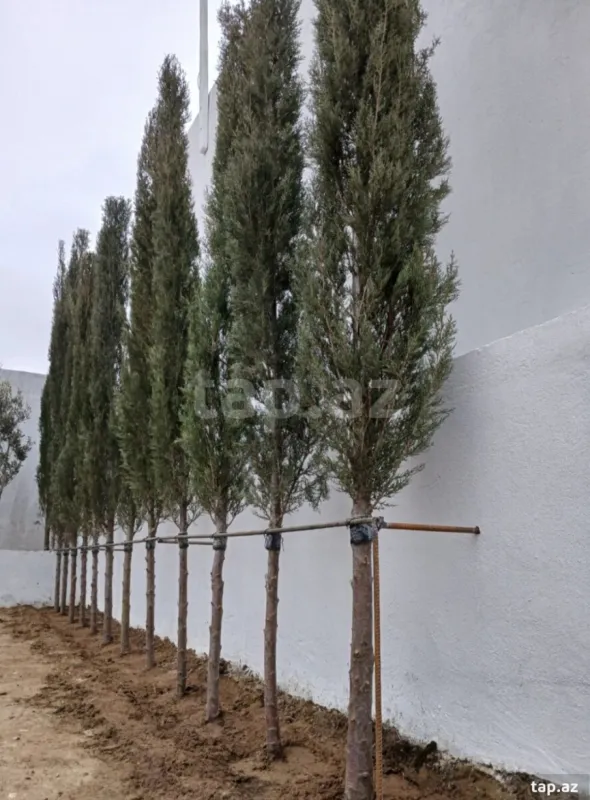 Satılır 2 otaqlı həyət evi