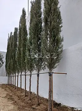 Satılır 2 otaqlı həyət evi