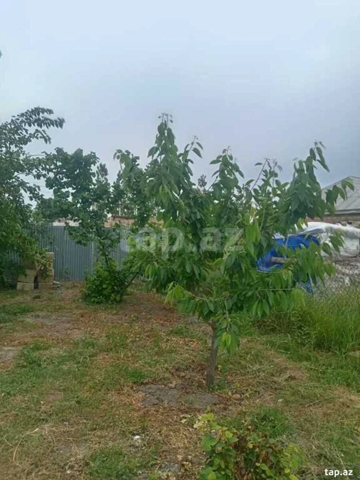 Satılır 2 otaqlı həyət evi