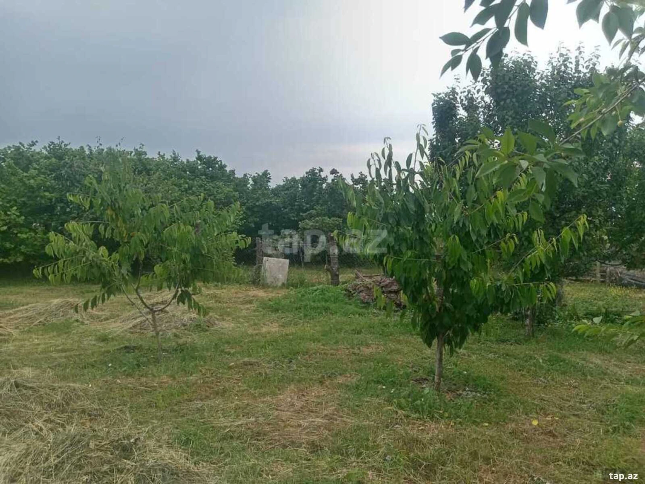 Satılır 2 otaqlı həyət evi