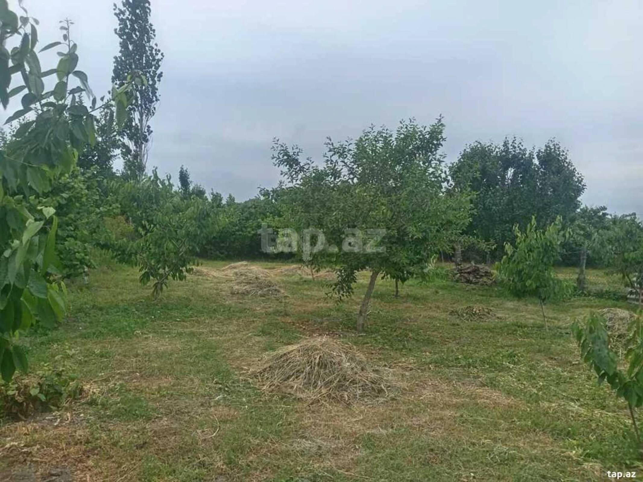 Satılır 2 otaqlı həyət evi