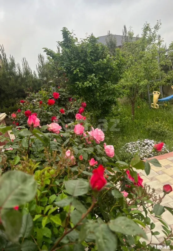 Satılır 4 otaqlı həyət evi