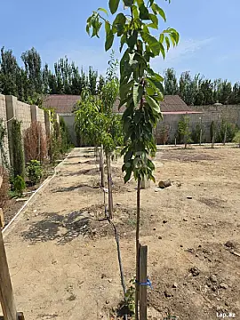 Satılır torpaq sahəsi — Bakı, Xəzər