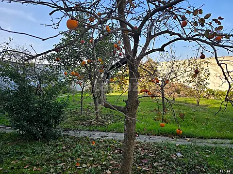 Satılır 6 otaqlı həyət evi 450 m²