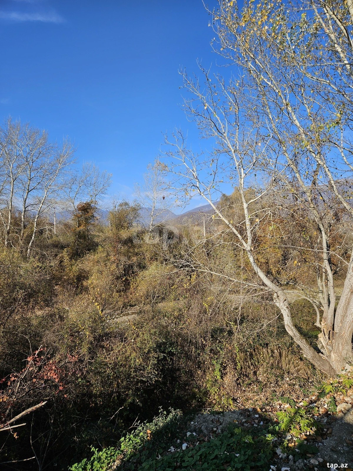 Kirayə verilir 3 otaqlı həyət evi