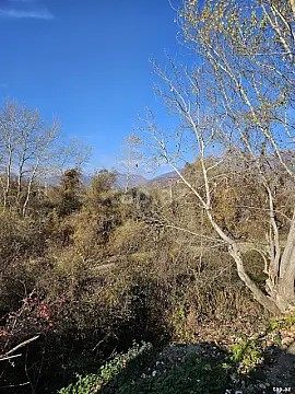 Kirayə verilir 3 otaqlı həyət evi