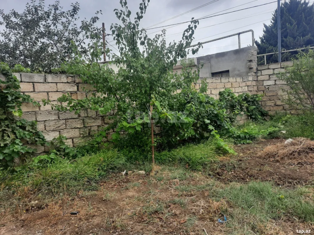 Kirayə verilir 2 otaqlı həyət evi 70 m²