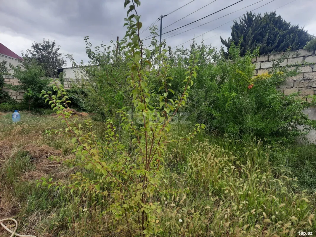 Kirayə verilir 2 otaqlı həyət evi 70 m²