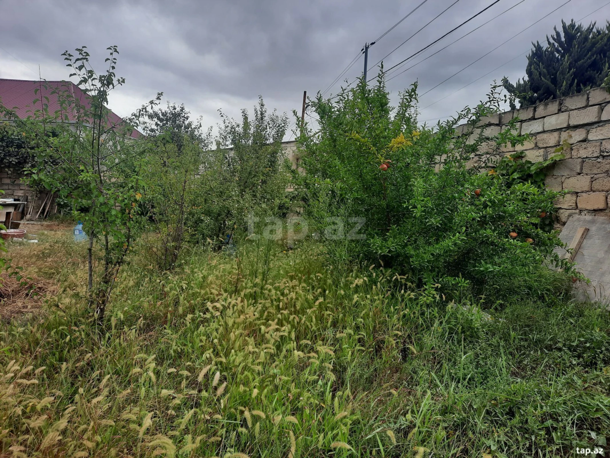 Kirayə verilir 2 otaqlı həyət evi 70 m²