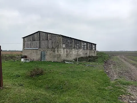 Satılır torpaq sahəsi — Xaçmaz