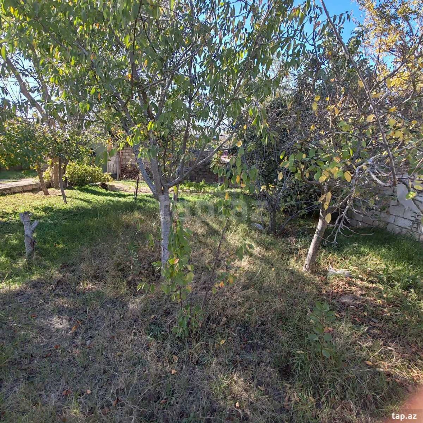 Satılır 4 otaqlı həyət evi