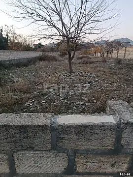 Satılır torpaq sahəsi — Şəki