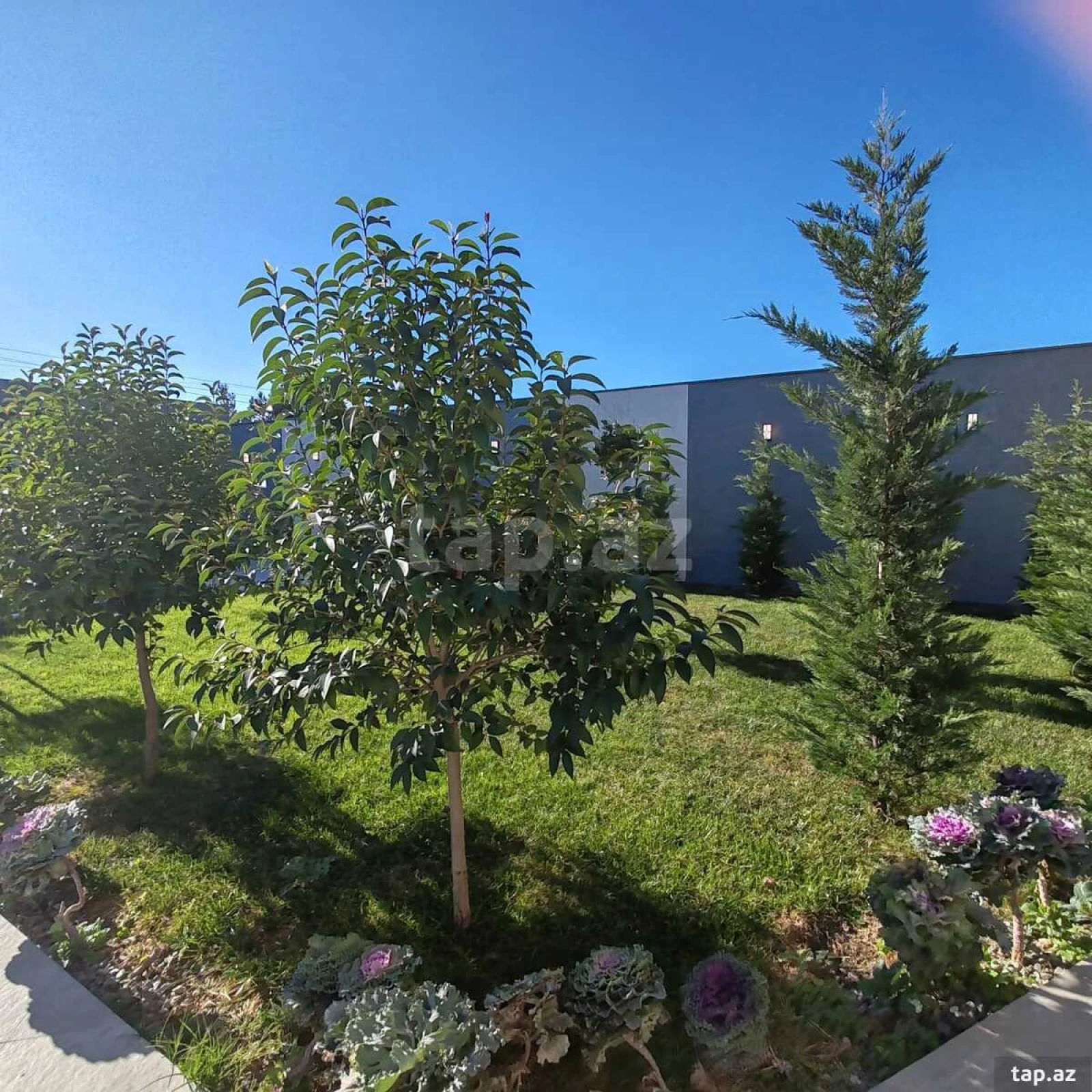 Satılır 4 otaqlı həyət evi