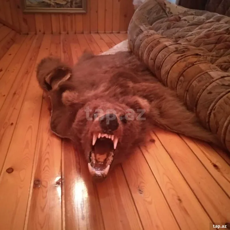 Satılır 6 otaqlı həyət evi