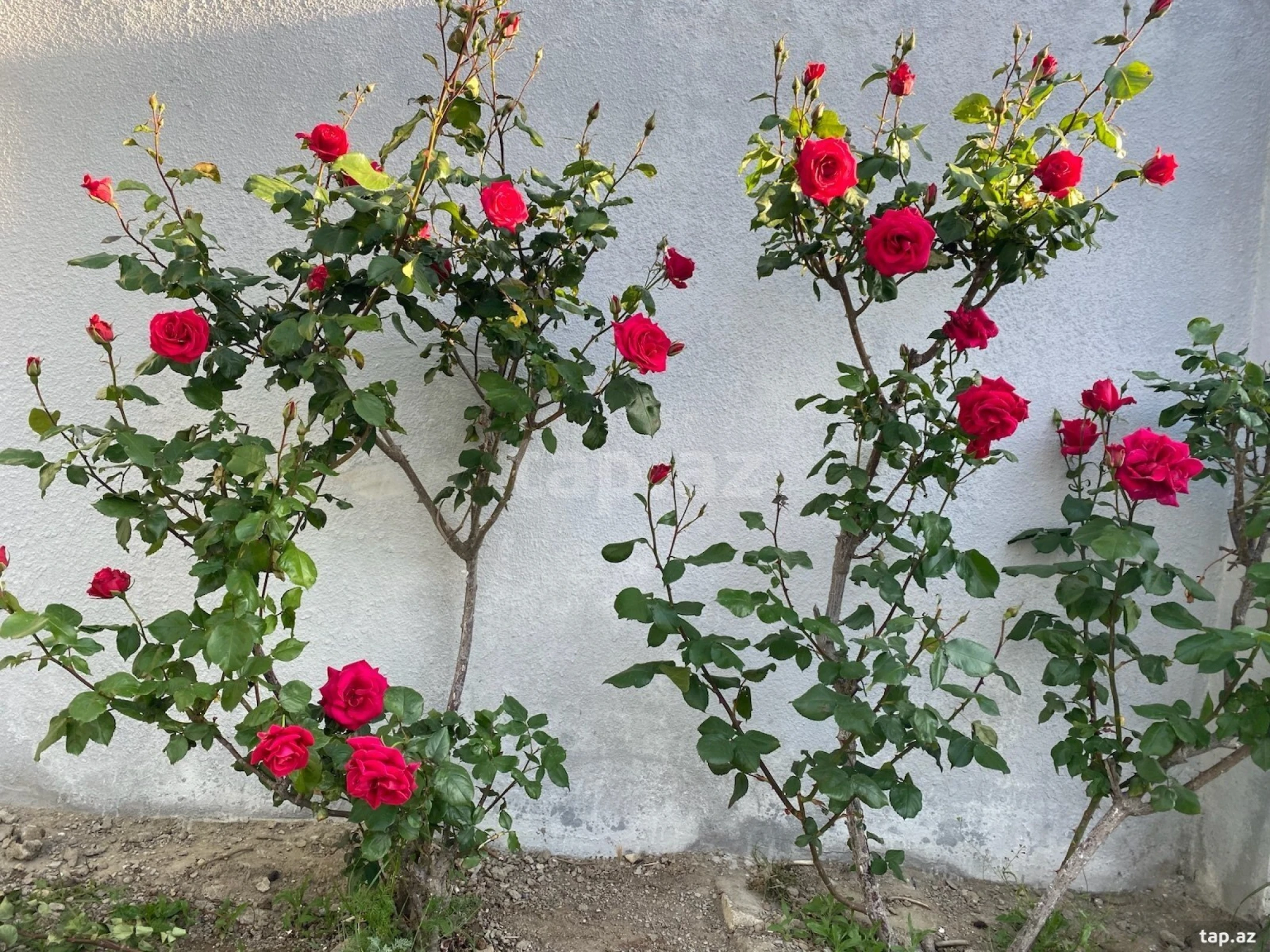 Satılır 5 otaqlı həyət evi 150 m²