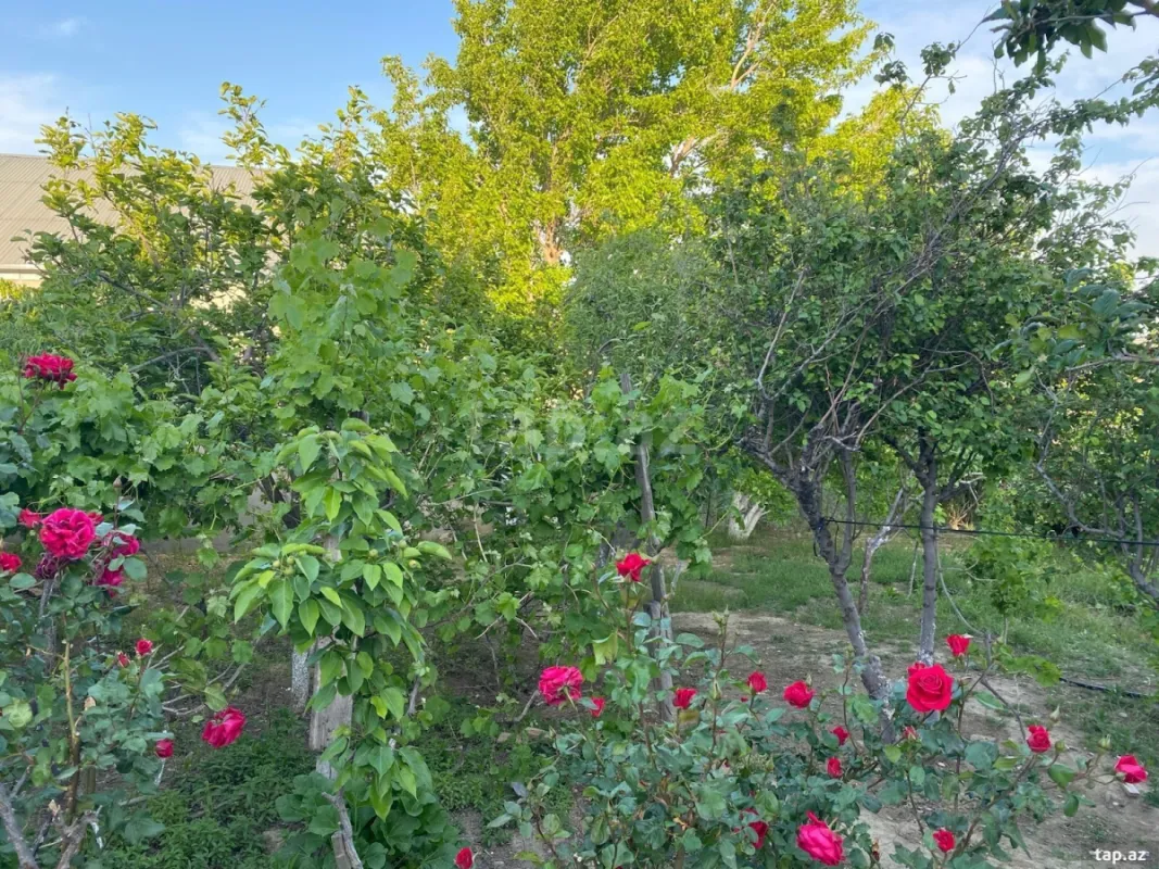 Satılır 5 otaqlı həyət evi 150 m²