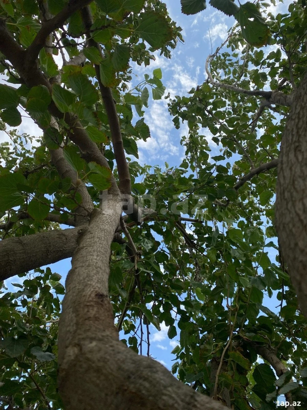 Satılır 5 otaqlı həyət evi 150 m²