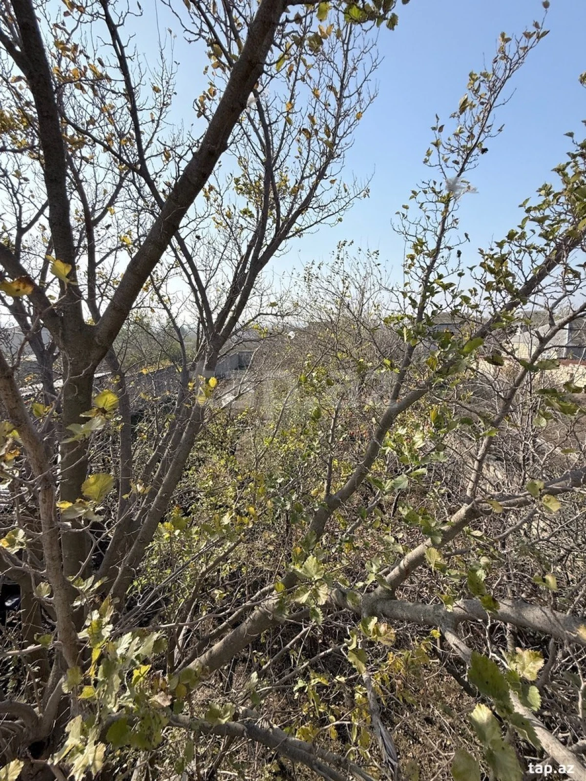 Satılır 4 otaqlı həyət evi