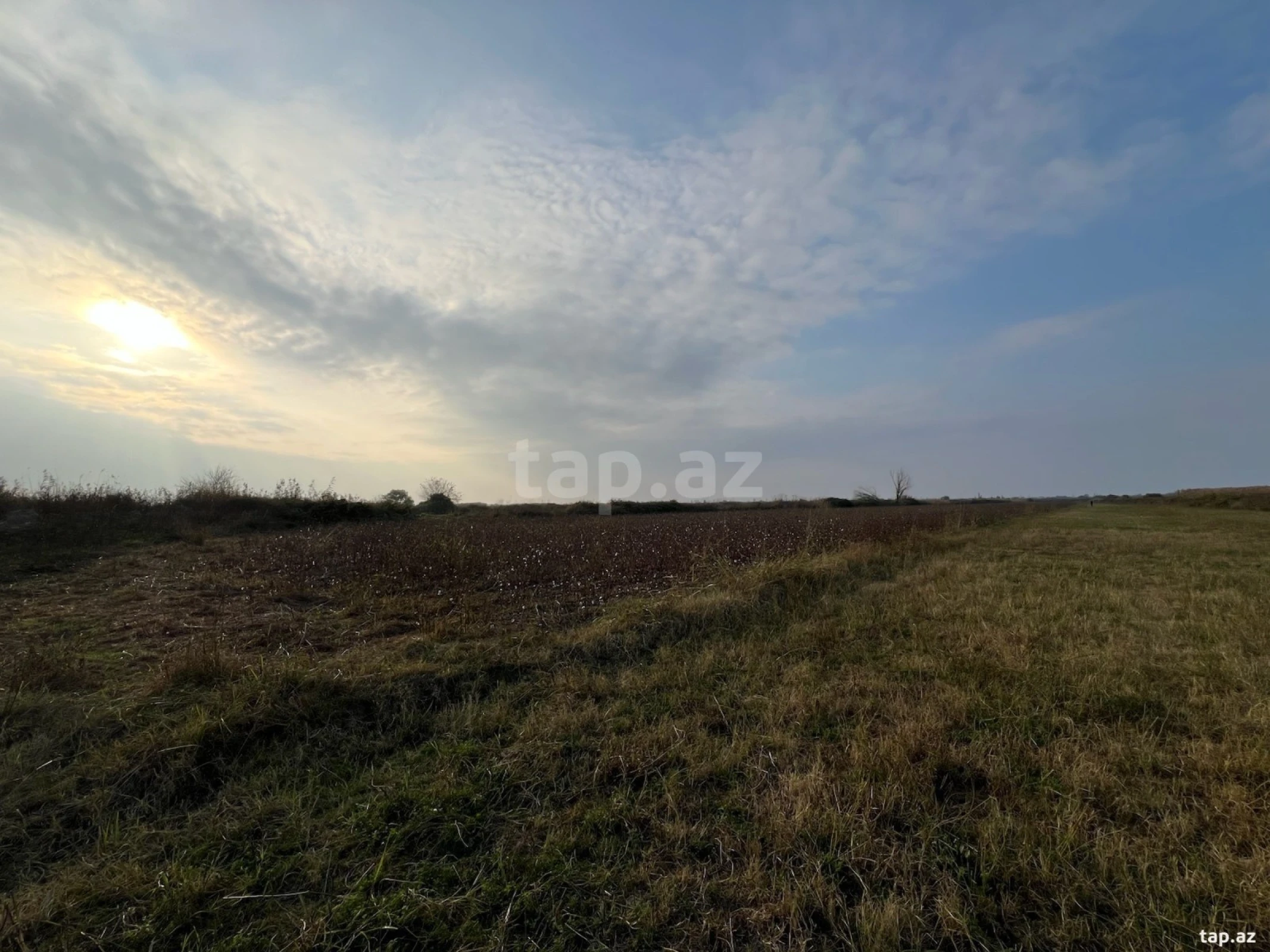 Satılır torpaq sahəsi