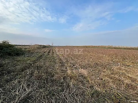 Satılır torpaq sahəsi — Sabirabad