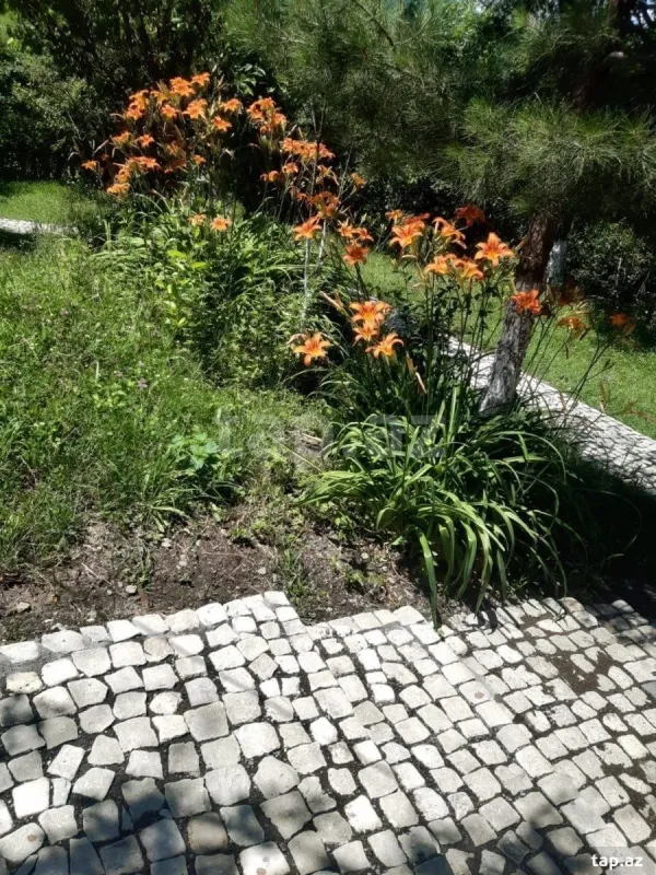 Kirayə verilir 3 otaqlı həyət evi