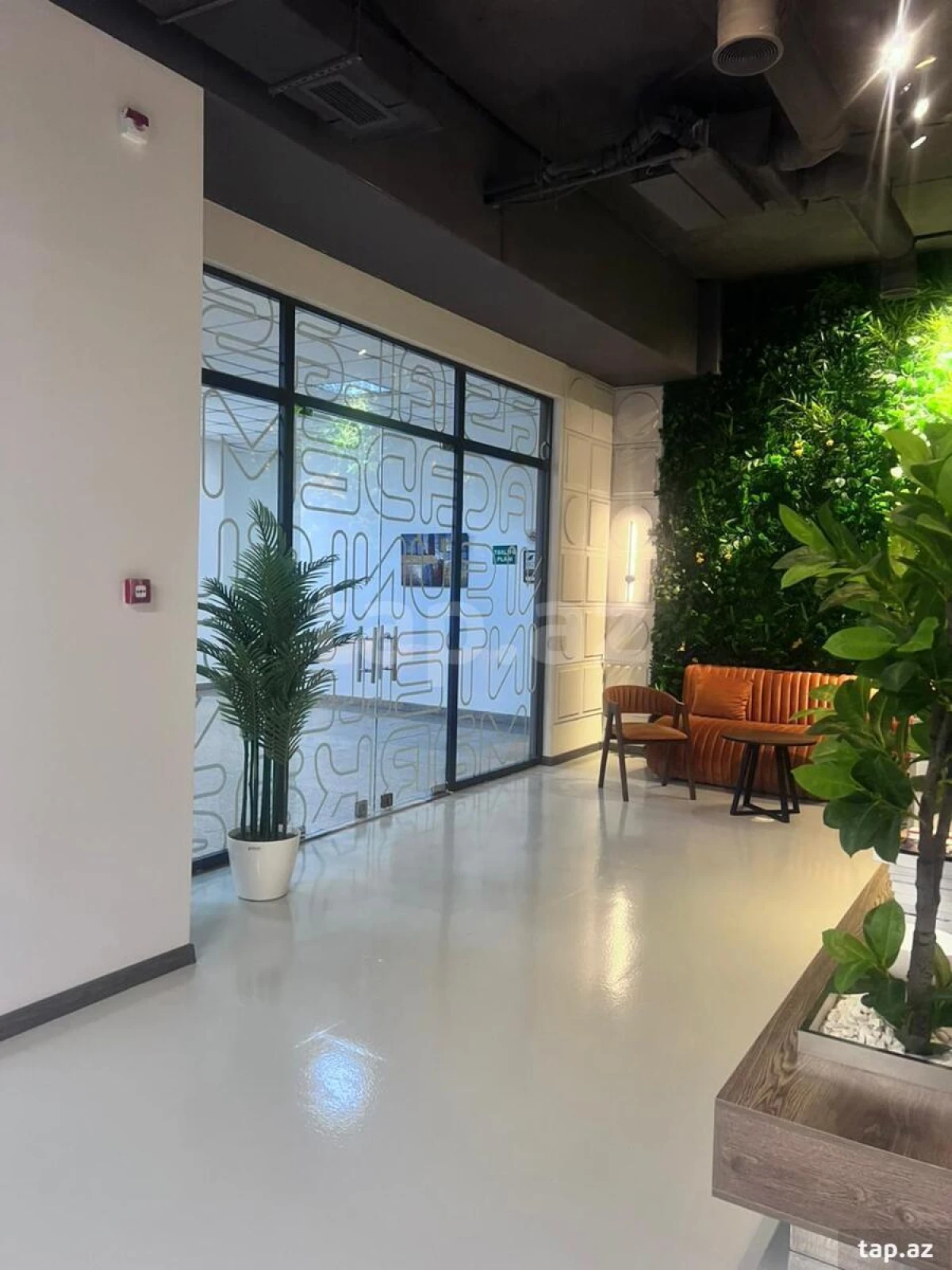 Kirayə verilir ofis