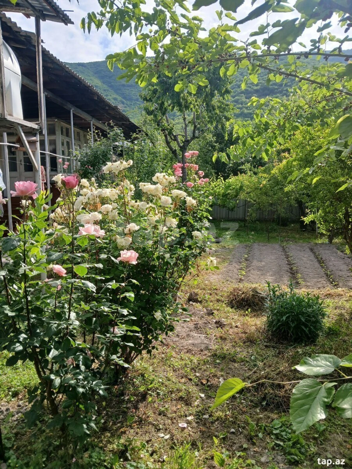 Satılır 3 otaqlı həyət evi 1050 m²