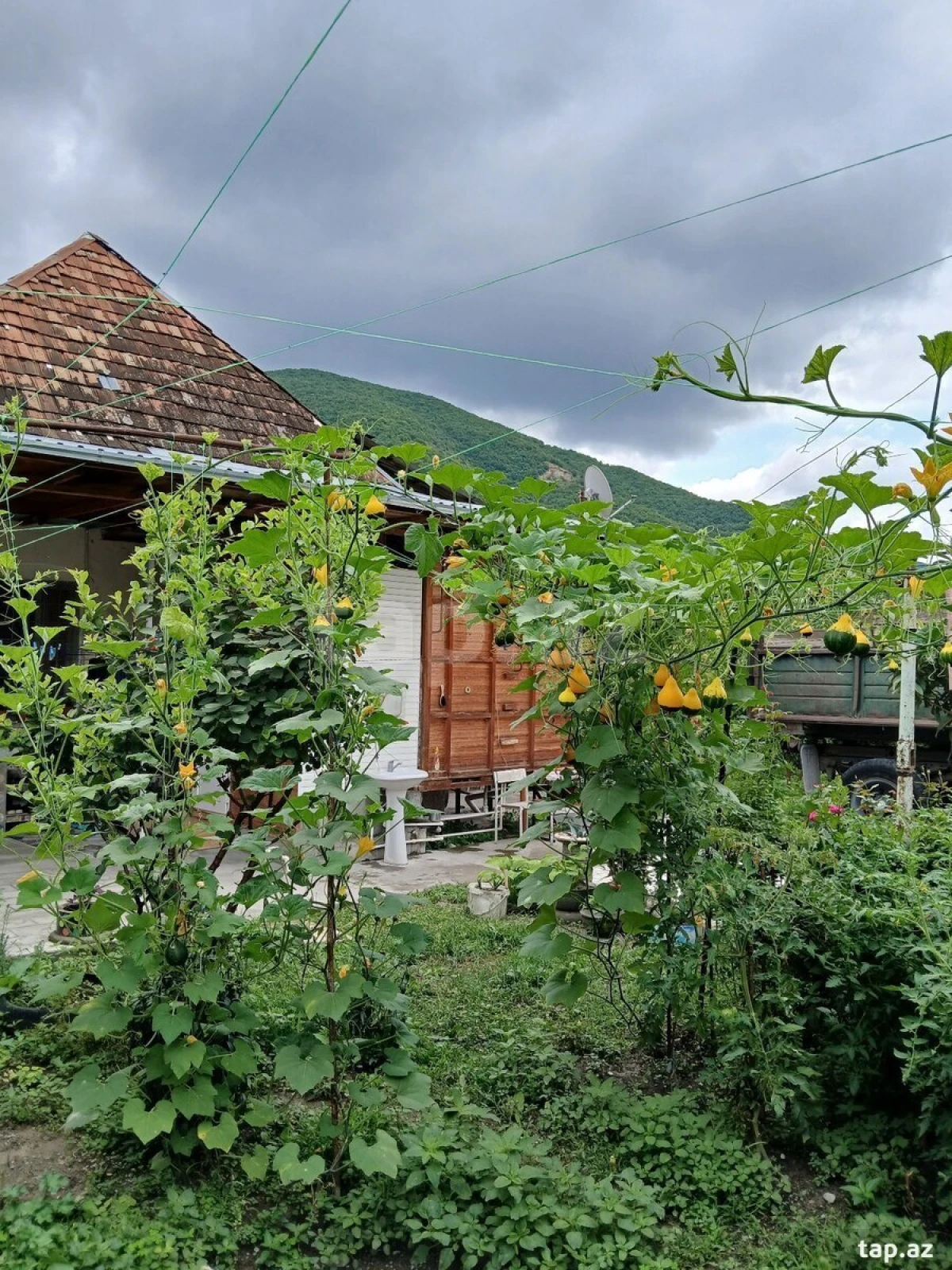 Satılır 3 otaqlı həyət evi 1050 m²