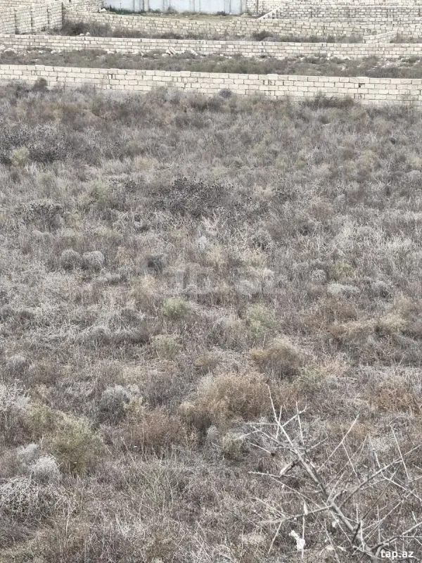 Satılır torpaq sahəsi