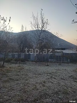 Satılır torpaq sahəsi — Şəki