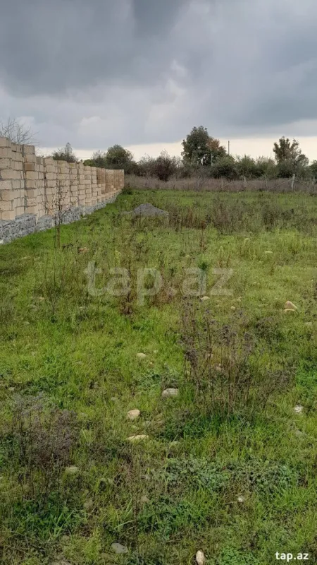 Satılır torpaq sahəsi