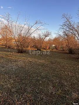 Satılır torpaq sahəsi — Qəbələ