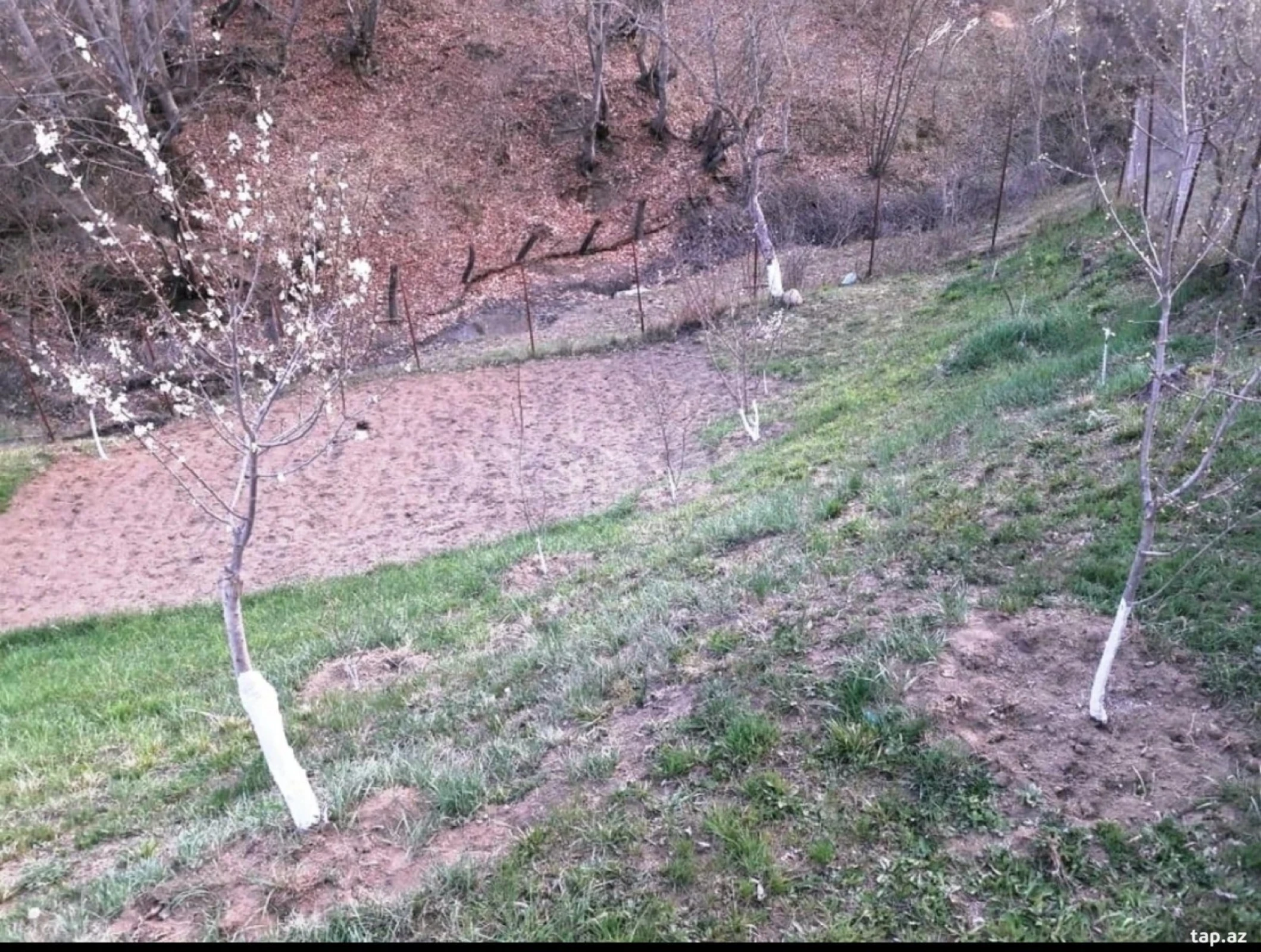 Satılır torpaq sahəsi